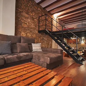 Alcam Loft Grassot Apartment Barcelona